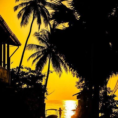 Akki'S Hostel تريكونامالاي المظهر الخارجي الصورة
